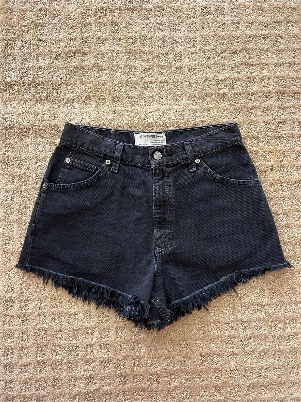 The Vintage Twin Black High-Rise Frayed Denim Shorts